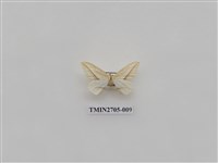 藏品(尺蛾249)的圖片